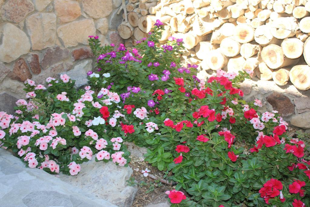 Modern&Quiet Place Ελάτ Εξωτερικό φωτογραφία
