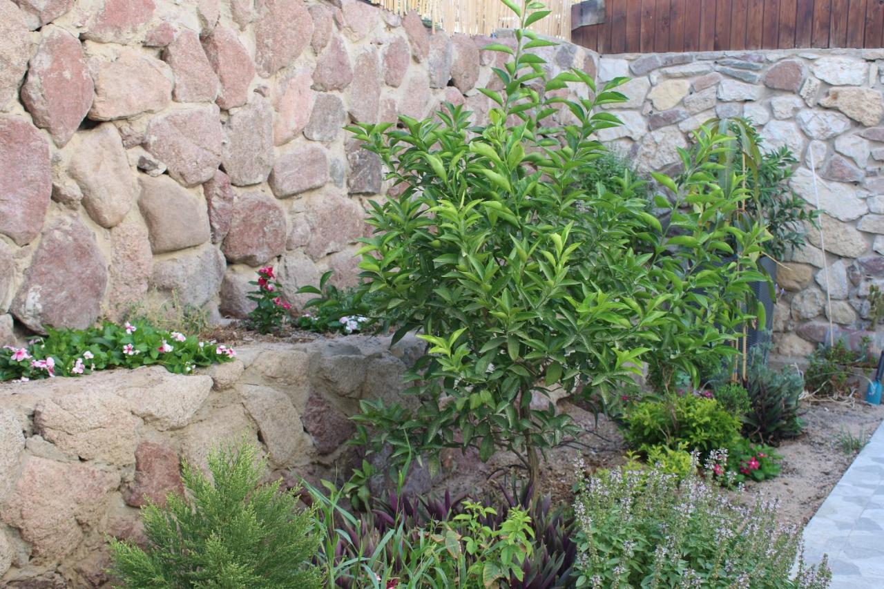 Modern&Quiet Place Ελάτ Εξωτερικό φωτογραφία